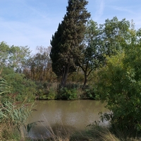 Photo de France - La randonnée de la Tamarissière